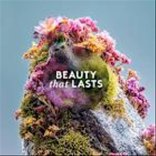 Coty Champions Eco-Desirability and Transparency in FY25 Sustainability Report