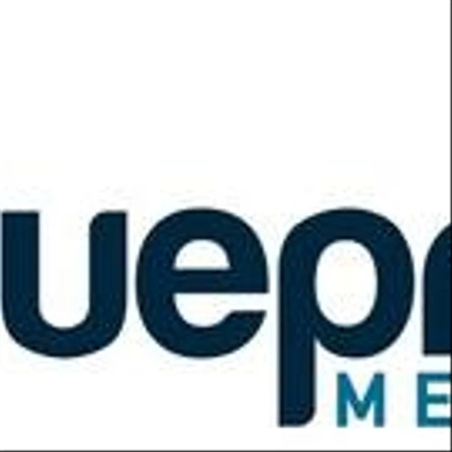 Blueprint Medicines Announces Data Reinforcing Sustained Clinical Efficacy and Well-Tolerated Safety Profile of Long-Term AYVAKIT®/AYVAKYT® (avapritinib) Treatment at 2025 EHA and EAACI Congresses