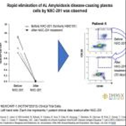 Immix Biopharma Announces 100% Overall Response Rate (n=10); 23.7 months Best Response Duration (ongoing) for CAR-T NXC-201 in Relapsed/Refractory AL Amyloidosis Patients at ASH 2023