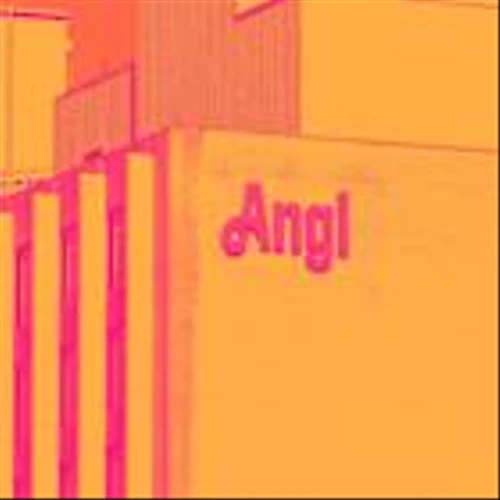 Why Angi (ANGI) Shares Are Plunging Today