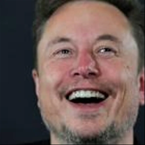 Elon Musk Just Spoke at an Investor Conference. Tesla Stock Is Falling.