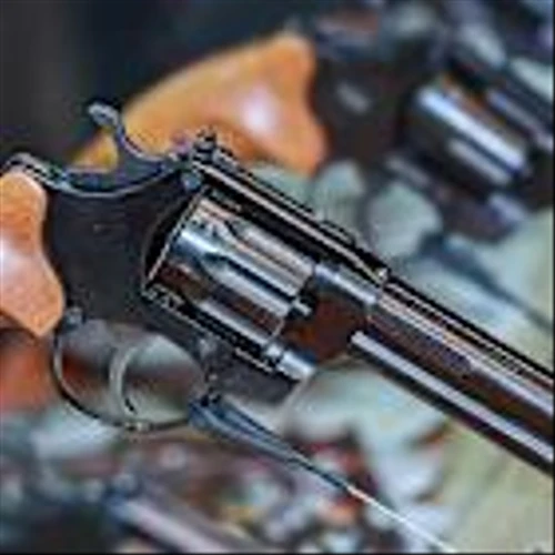 February Gun Sales Plunge, Outlook Weak, Firearms Maker Says