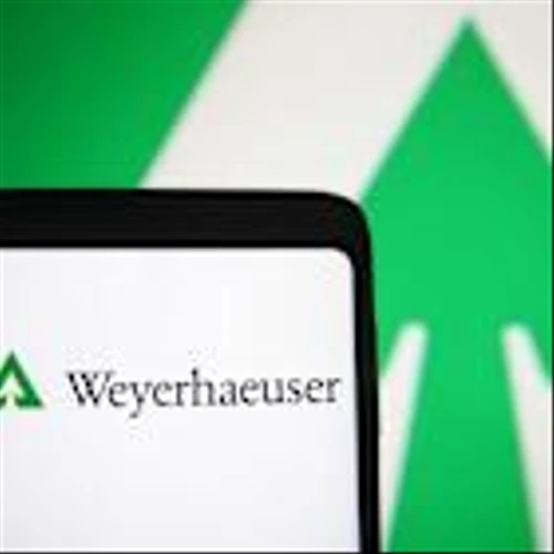Is Weyerhaeuser Stock Underperforming the Dow?