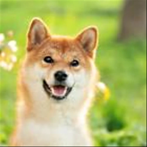 Why Datadog Stock Cruised to a More Than 4% Gain Today