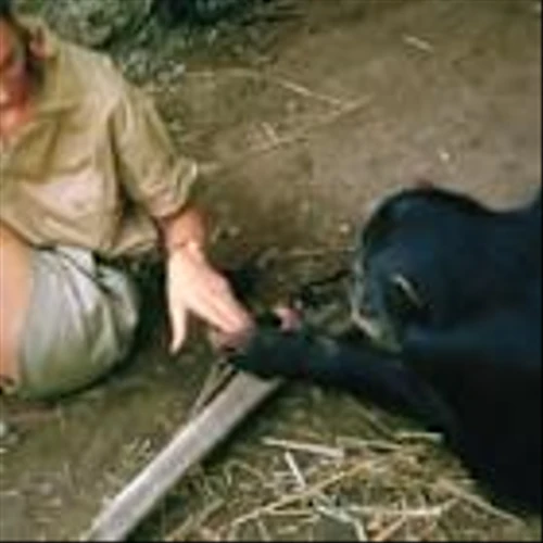 Passage: Remembering Jane Goodall