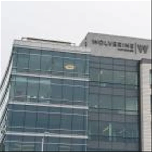 Wolverine Worldwide revenue, earnings grow in Q4