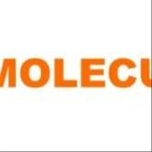 Moleculin Presents Positive Interim Data from Phase 1B/2 Clinical Trial in AML at Meeting with KOL's in Conjunction with ASH Annual Meeting