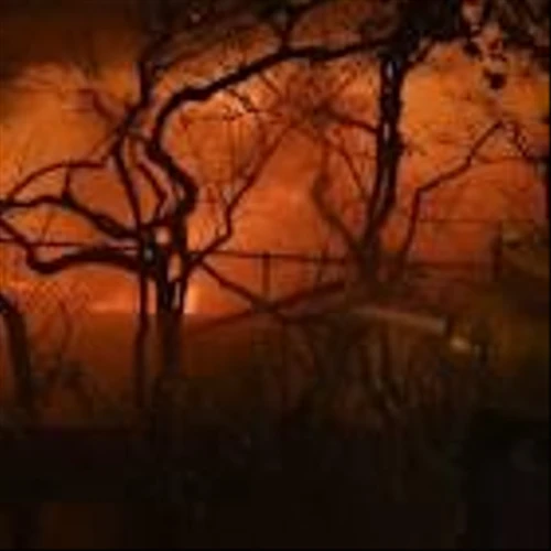 Hartford profit falls as California wildfire losses climb