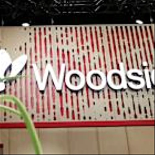 Woodside to Sell 40% Stake in Louisiana LNG Infrastructure to Stonepeak