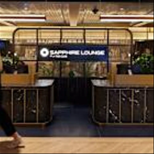 JPMorgan, Already No. 1 in Card Spending, Wants Even More