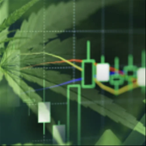 Industry Report: The Cannabis Company that Soared Nearly 100% This Year: What's Behind InterCure's Surge