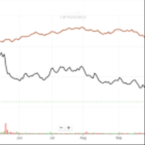 Canada Goose Stock (NYSE:GOOS): Benefit from Luxury Industry Panic