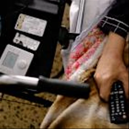 AstraZeneca Shares Rise After Lung Drug Hits Goals in Late-Stage Trials