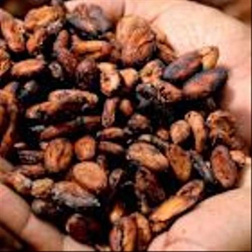 Cocoa Prices Pressured as Rains Improve Ivory Coast Cocoa Crop Prospects