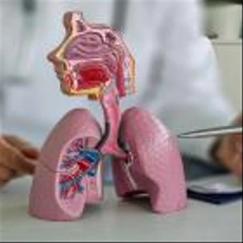 ImmunityBio and BeiGene partner on Phase III trial of NSCLC treatment combo