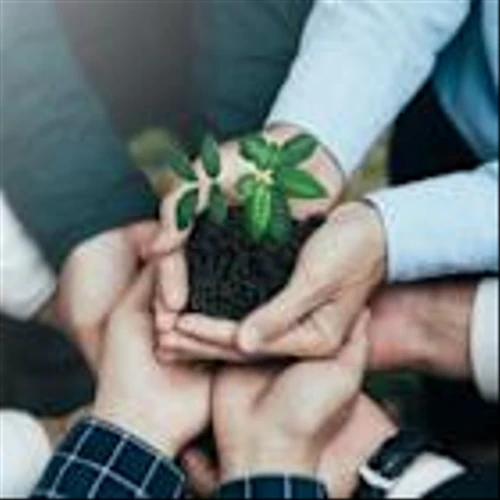 EIB, Rabobank and DLL collaborate to offer $1.1bn for SMEs and mid-caps