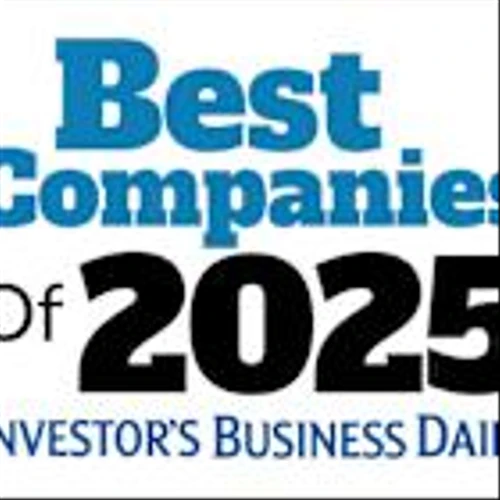 Sandisk, Palantir, Micron Among The 100 Best Stocks Of 2025