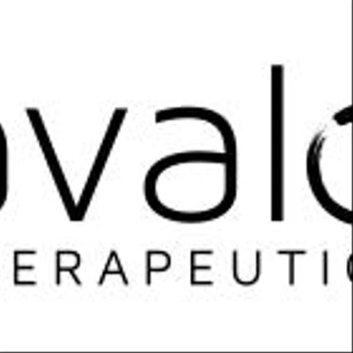 Avalo Reports 2024 Financial Results and Recent Business Updates
