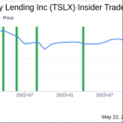 Director P Covington Acquires 7,500 Shares of Sixth Street Specialty Lending Inc (TSLX)