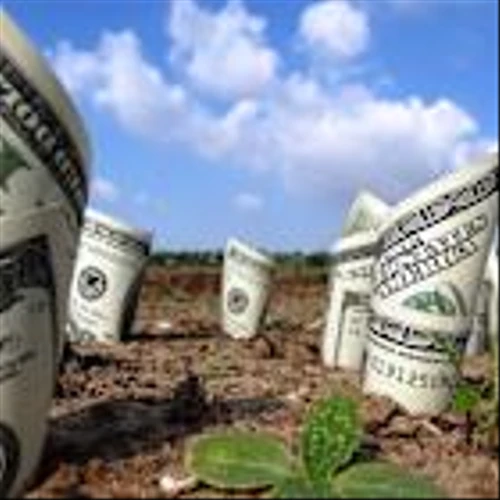 4 No-Brainer Dividend Stocks to Buy Right Now -- and a 17% Dividend Yield to Avoid