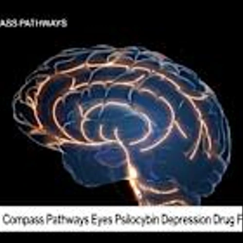 Compass Pathways Eyes FDA Approval for Psilocybin Depression Drug