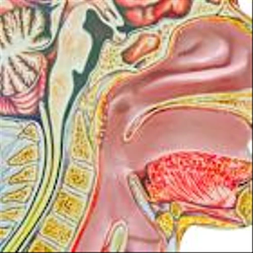 ASCO 2025: Merus wins in head-to-head with Bicara for head and neck cancer