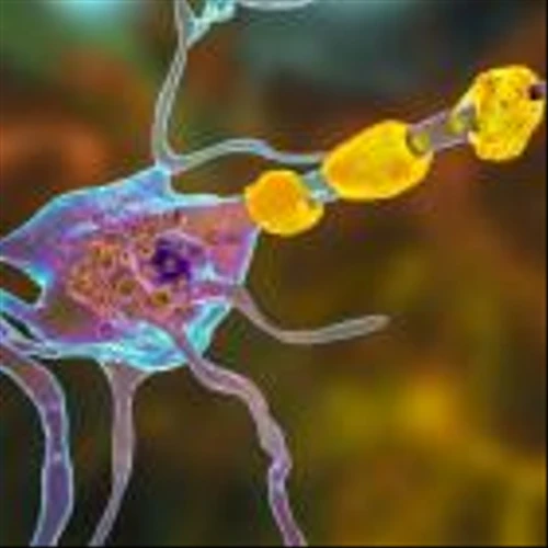 FDA approves Zevra Therapeutics’ Miplyffa for Niemann-Pick disease