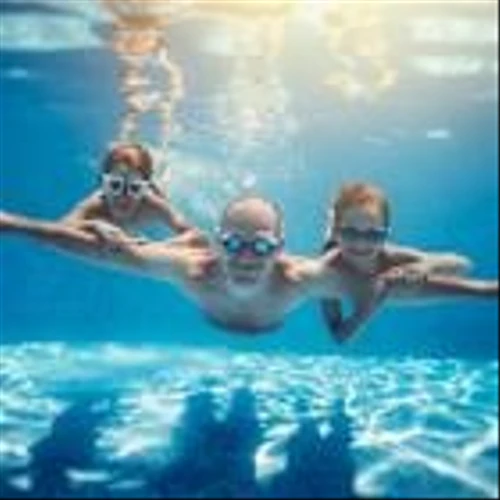 5 Dividend Stocks to Hold for the Next 10 Years