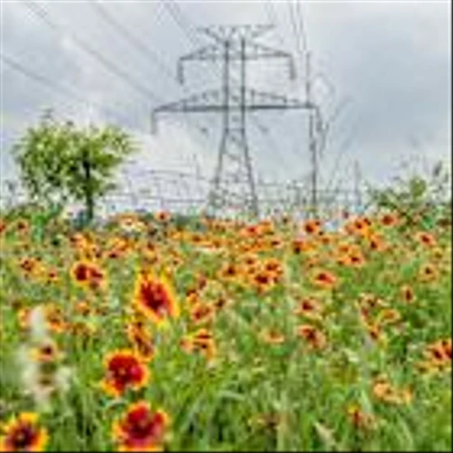 Electricity Prices Are Surging. How the Political Fallout Could Hit Companies, Too.