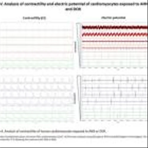 Moleculin Announces Presentation of Positive Data Demonstrating High Anti-Cancer Activity of Annamycin and Non-Cardiotoxic Properties