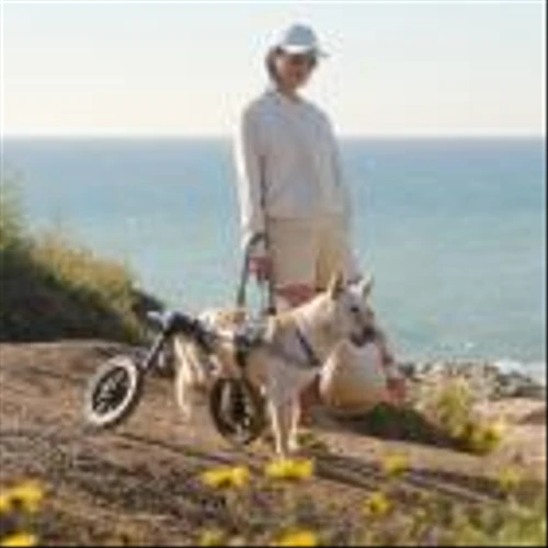 Petco Releases 2023 ESG Report, Announces Large-Scale Recycling Program to Divert LDPE Plastic from Landfills