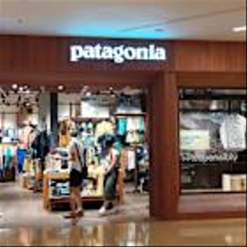 Patagonia Founder Hated Being Called a Billionaire – So He Gave His Fortune Away