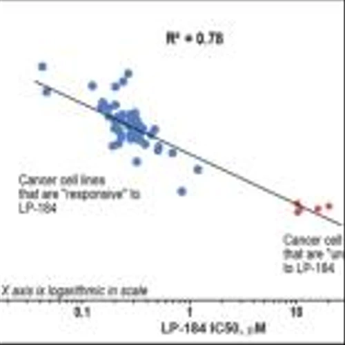 Lantern Pharma Achieves Key Milestone Towards Development of Molecular Diagnostic for use in Oncology Clinical Trials for Patient Selection and Stratification with Drug Candidate LP-184