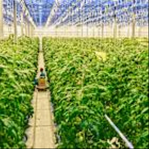BMO Capital Maintains ‘Outperform’ Rating on The Mosaic Company (MOS); Raises PT