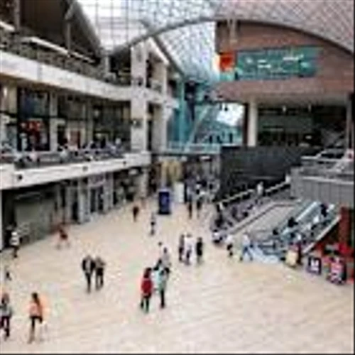 US retailers post strong Q3 earnings with amazon leading growth