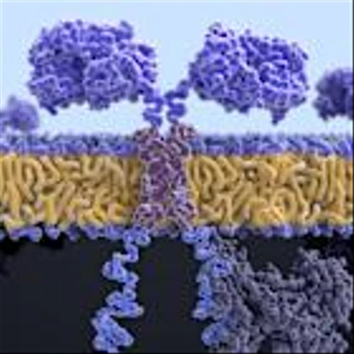 IO360 Summit: Improving CAR-T cell therapy manufacture and accessibility