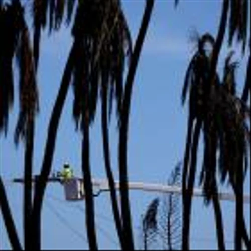 Hawaiian Electric Slumps After Issuing Going-Concern Warning