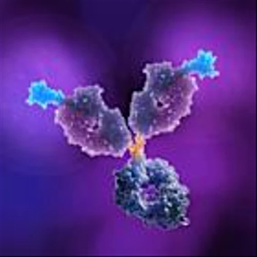 Launch of OmniUltra Expands OmniAb’s Reach into New Markets and Applications, Advances Leadership in Antibody Discovery Technologies