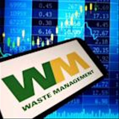 How Is Waste Management's Stock Performance Compared to Other Environmental Services Stocks?