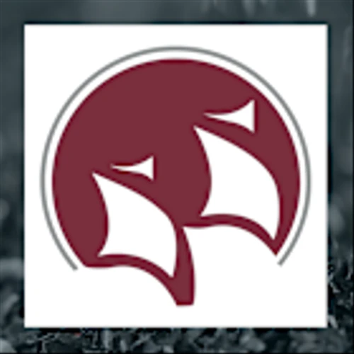 Endeavour Silver Q4 Earnings Call Highlights