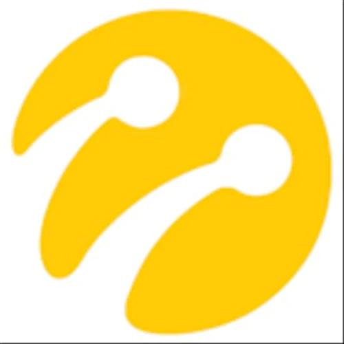 Turkcell Iletisim Hizmetleri AS (IST:TCELL) Q4 2024 Earnings Call Highlights: Record Postpaid ...