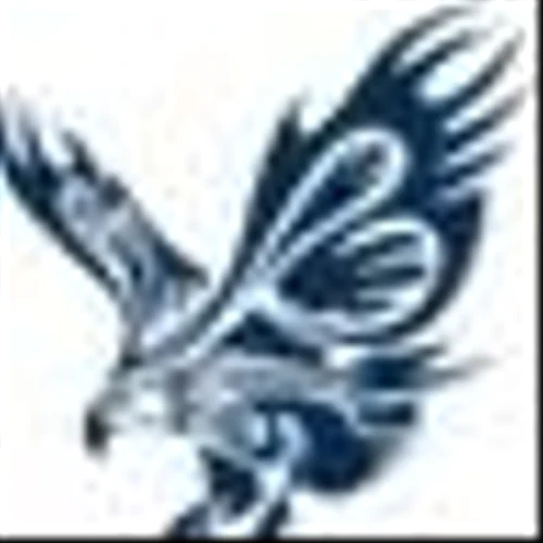 Bold Eagle Acquisition Corp. Announces Separate Trading of its Class A Ordinary Shares and Eagle Share Rights, Commencing on or about December 16, 2024