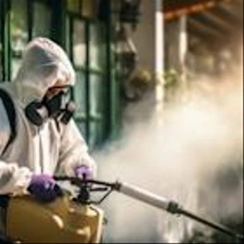 Resilient Pest Control Business Lifted Rollins (ROL) In Q1