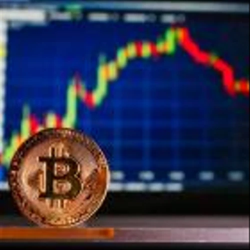 Is Gryphon Digital Mining (GRYP) Among Stocks Insiders Are Buying This Year?