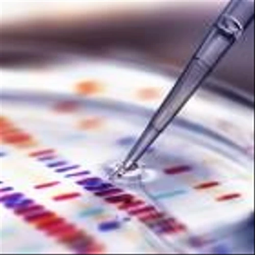 Passage Bio targets FDA to greenlight ALS gene therapy trial