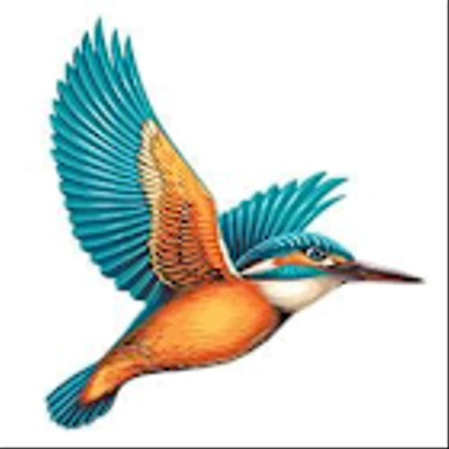 United Breweries Co Inc (CCU) Q4 2024 Earnings Call Highlights: Robust Growth Amidst Economic ...