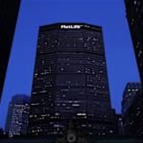 MetLife's profit falls on less favorable underwriting margins