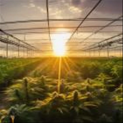 Is The Scotts Miracle-Gro Company (SMG) the Best Cannabis Stock to Buy According to Billionaires?