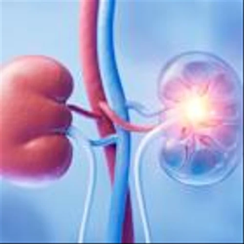 Maze tumbles despite positive data for kidney disease drug