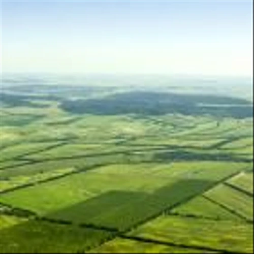 Invest in Farmland Like Bill Gates With This Industry Leader